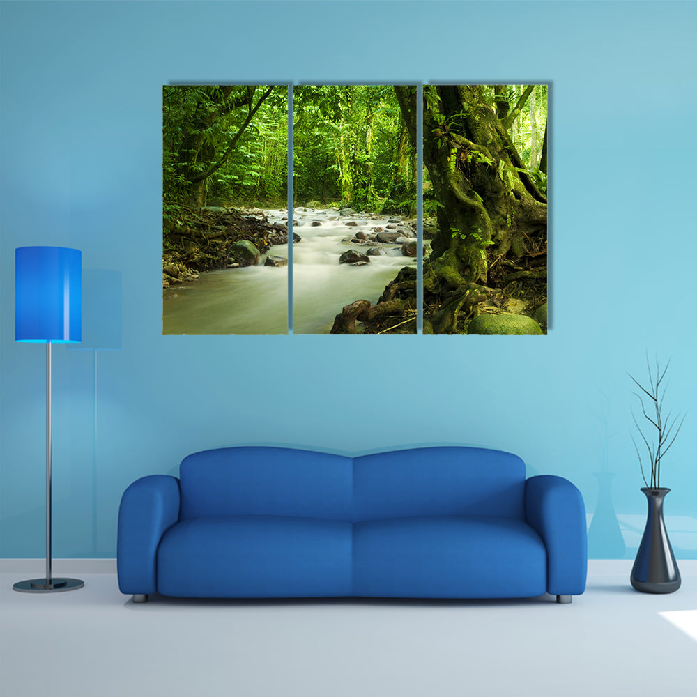 Tropical River At Selangor State In Malaysia Canvas Wall Art