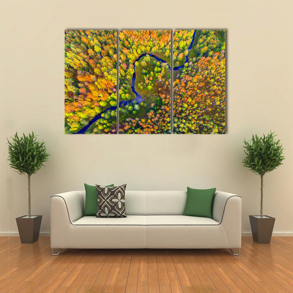 River In Autumn Forest Canvas Wall Art