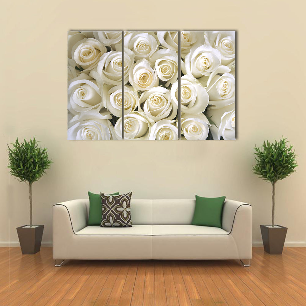Silky White Roses Canvas Wall Art