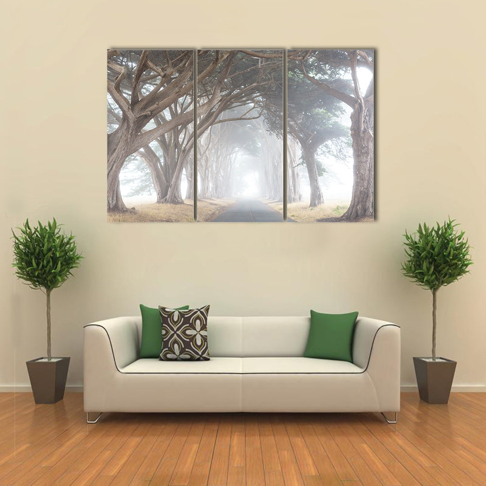 Misty Trees Alley In Foggy Weather Canvas Wall Art