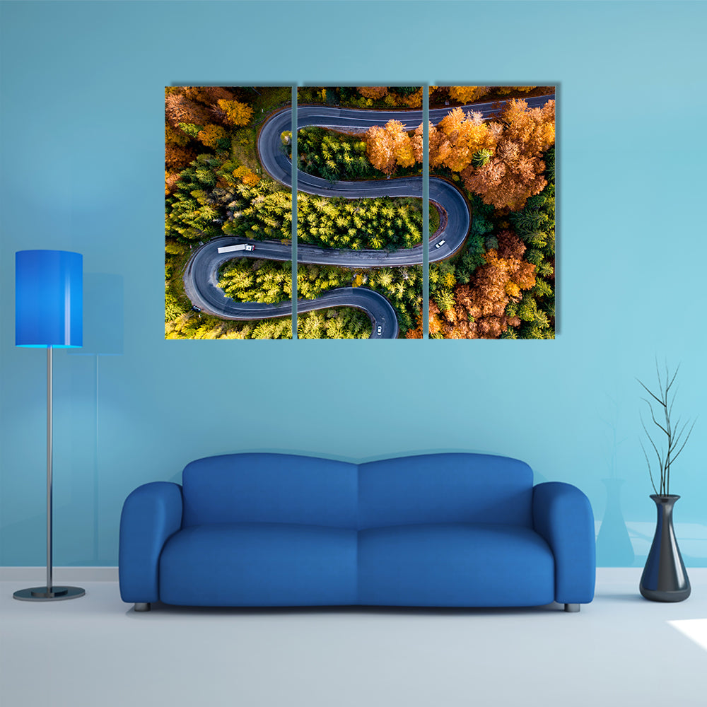 Winding Forest Road From Top Canvas Wall Art