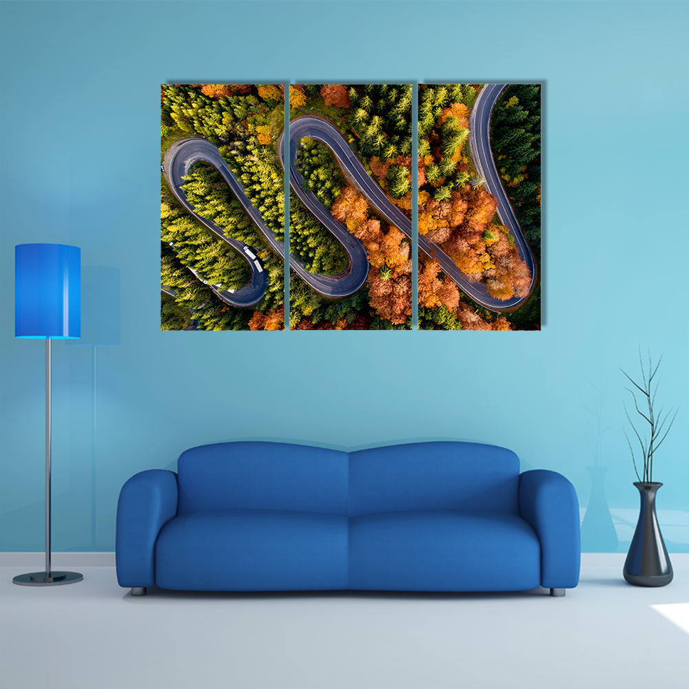 Serpentine Asphalt Road Canvas Wall Art