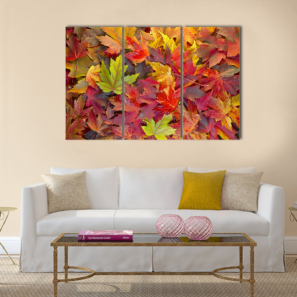 Colorful Maple Leaves Canvas Wall Art