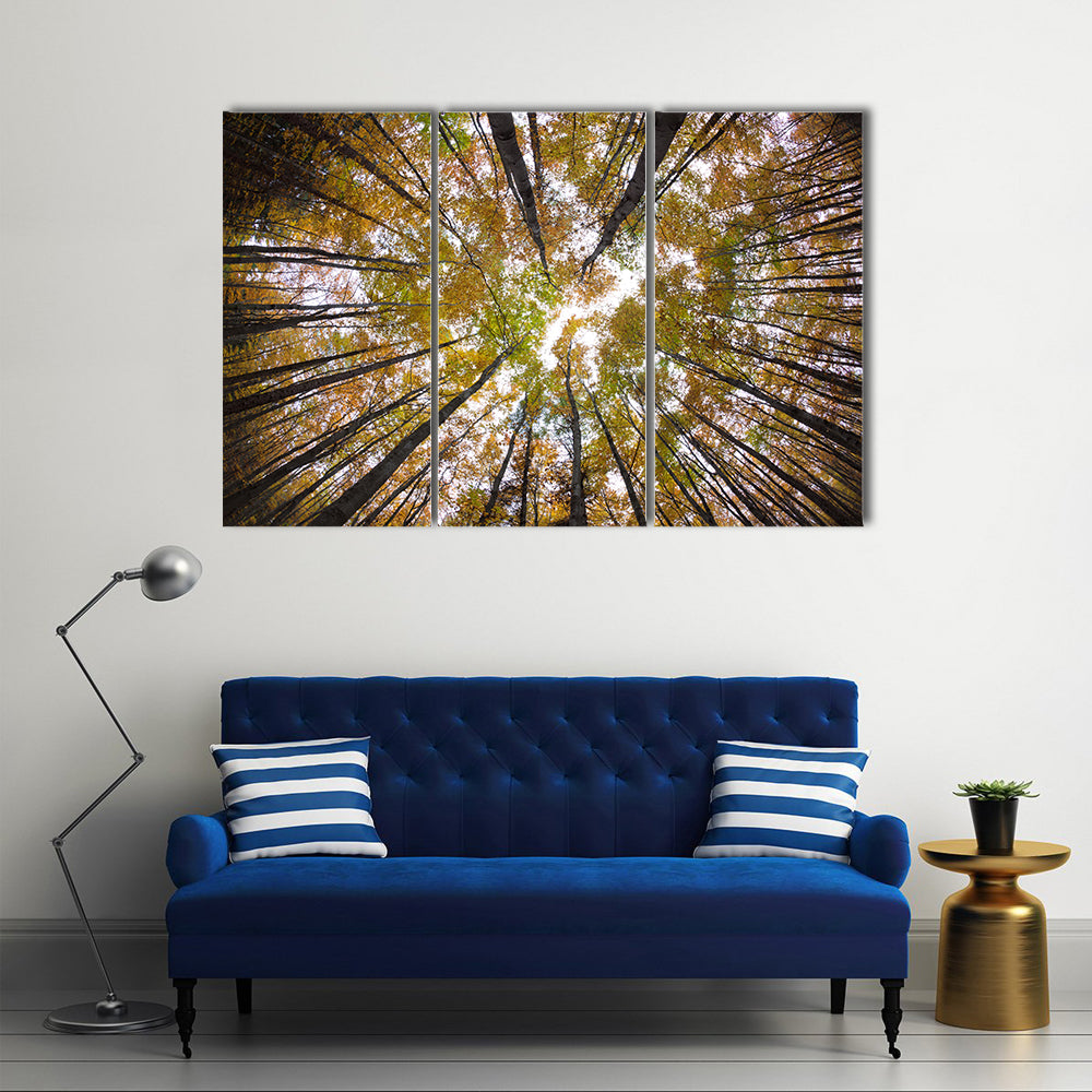 Autumn Forest Treetops Canvas Wall Art in brown, orange and yellow, 3 panel horizontal set hung on a wall