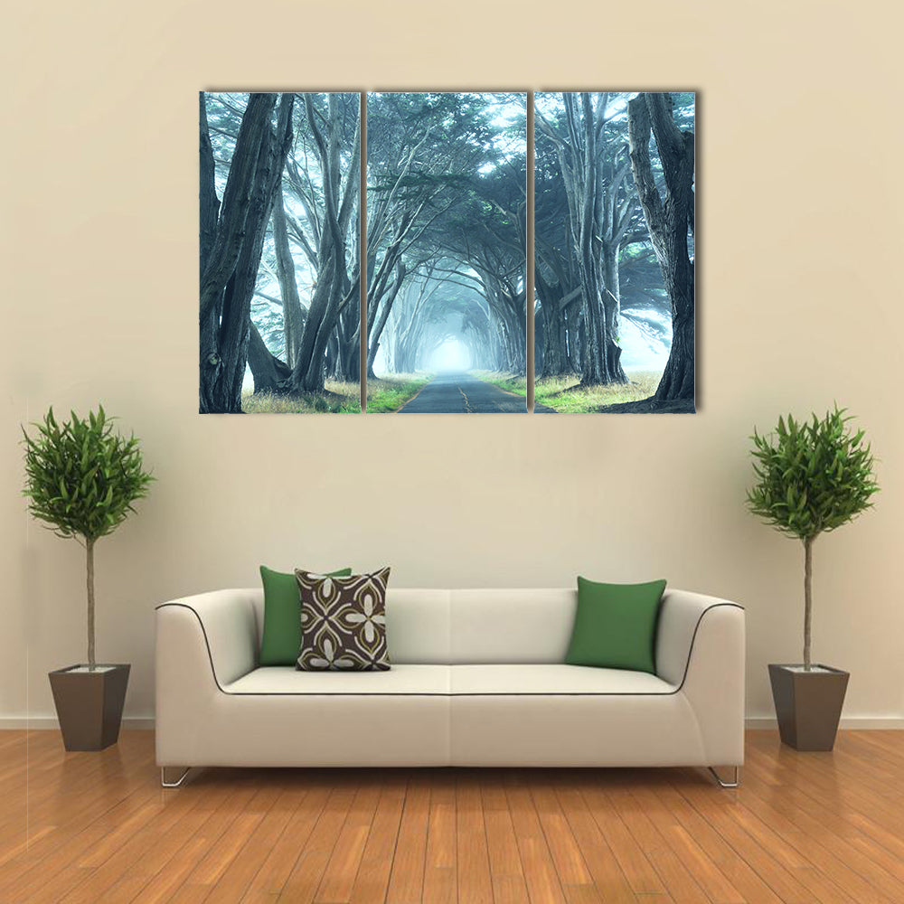 Misty Trees Alley In Foggy Weather Canvas Wall Art