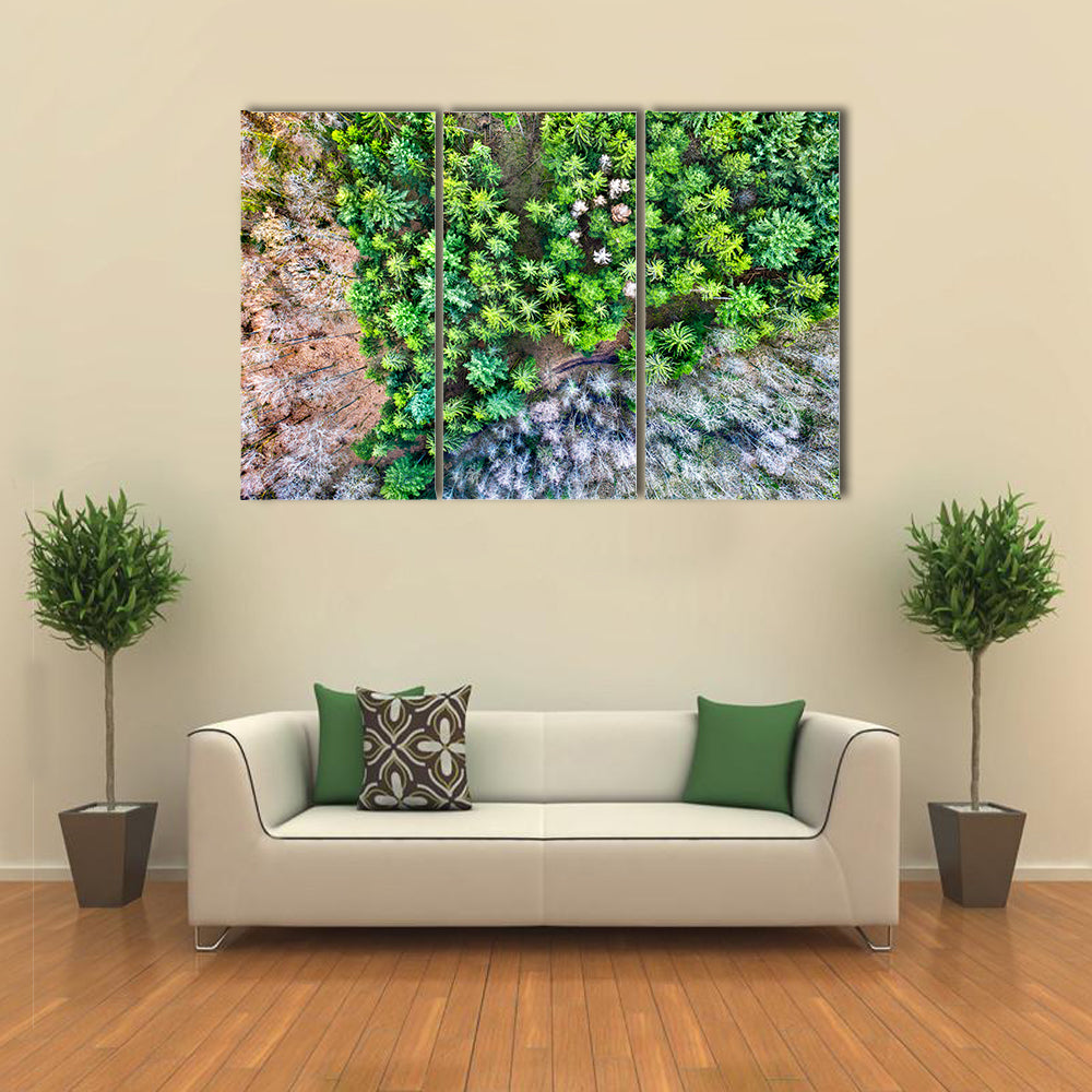 Aerial View Of Trees In The Vosges Mountains In Alsace France Canvas Wall Art