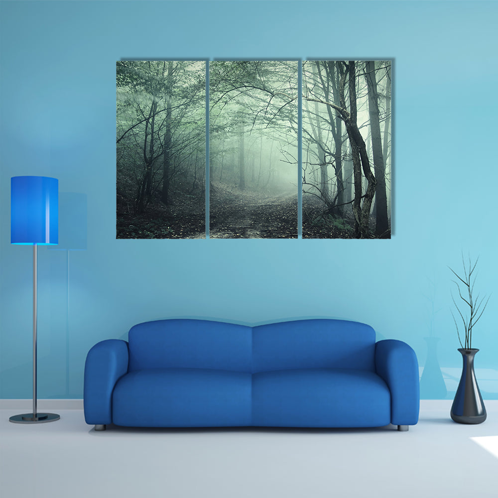 Foggy Forest Pathway Canvas Wall Art