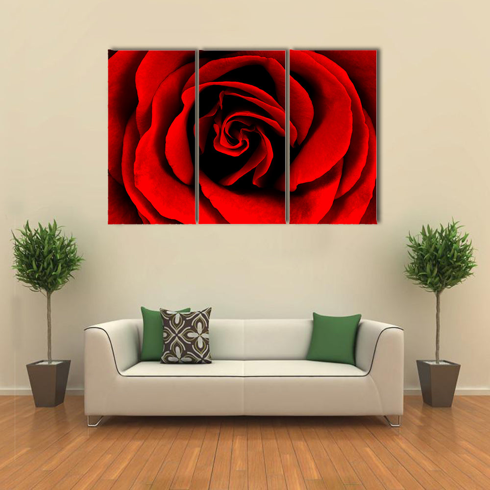 Closeup Of A Red Rose Canvas Wall Art