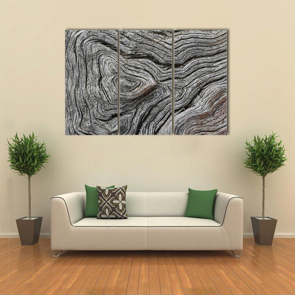 Weathered Wood Grain Macro Canvas Wall Art