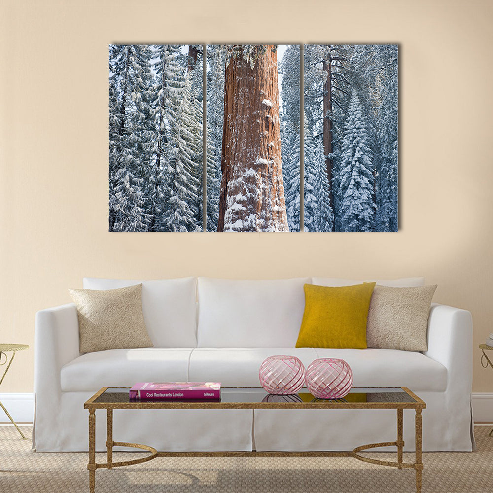 The Giant Sequoia Tree Covered In Snow Canvas Wall Art