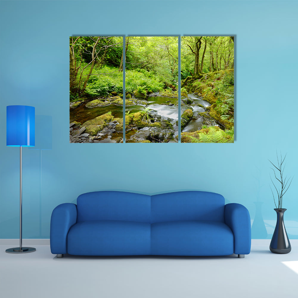 Dolgoch Falls In Wales UK Canvas Wall Art