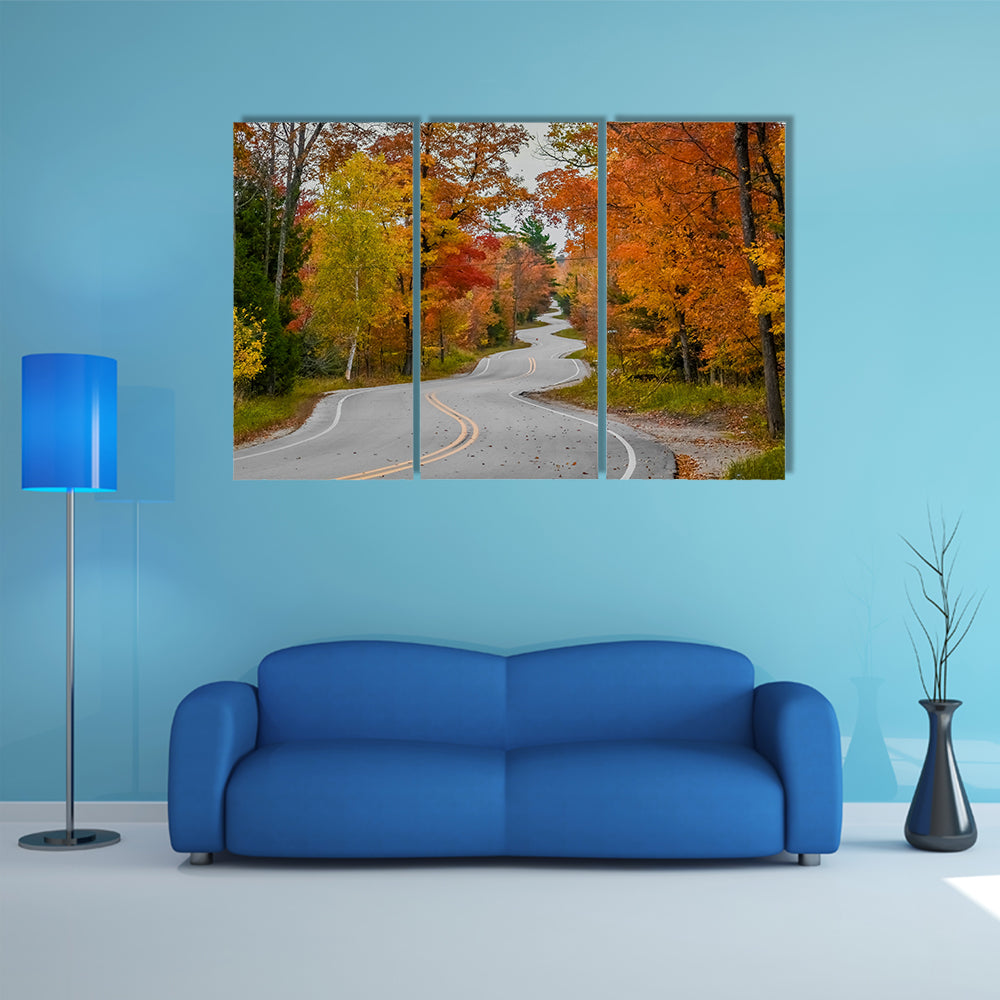 Winding Road In Wisconsin Canvas Wall Art