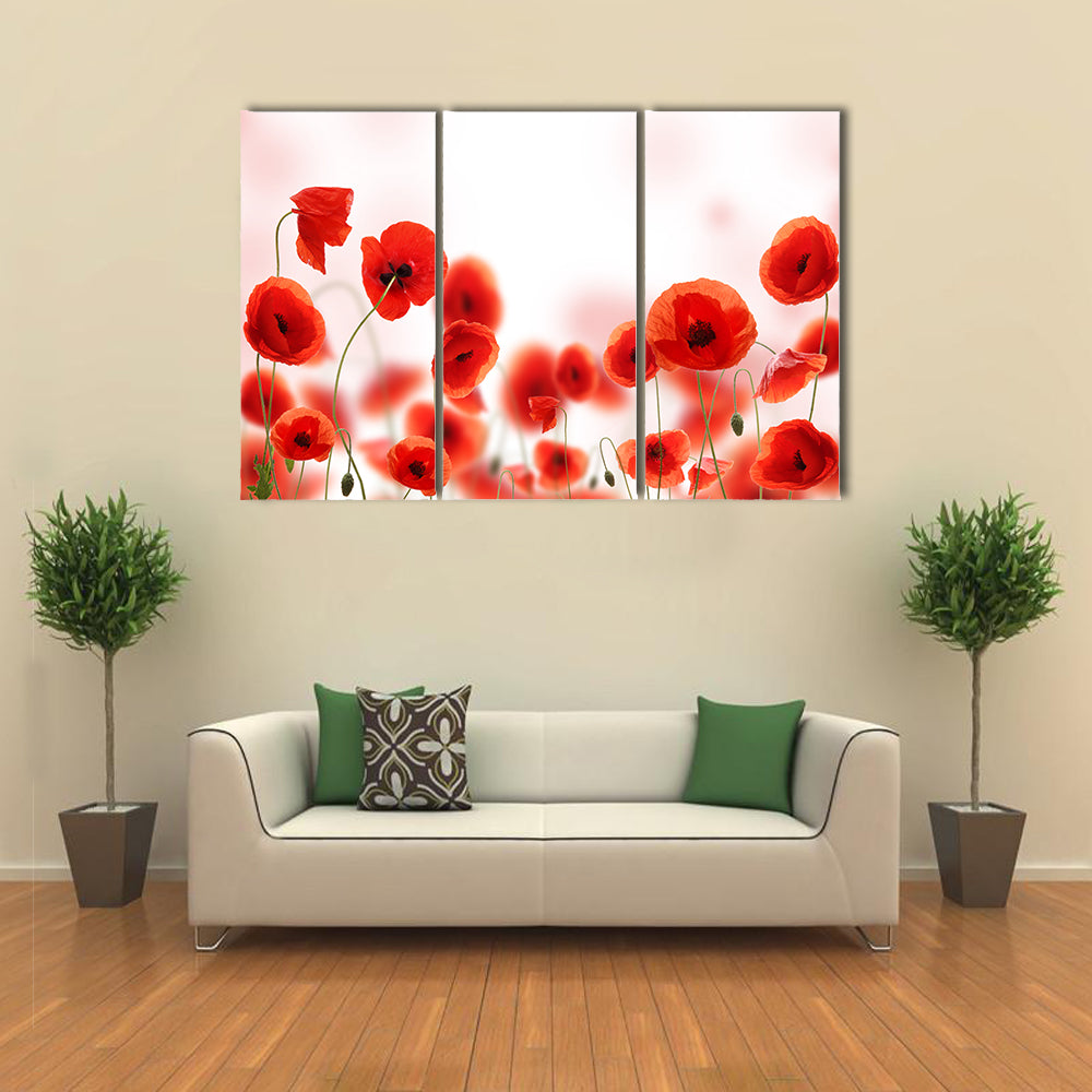 Poppy Flowers Field Canvas Wall Art
