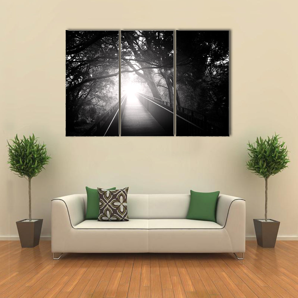 Wooden Bridge Into Sunlit Forest Canvas Wall Art