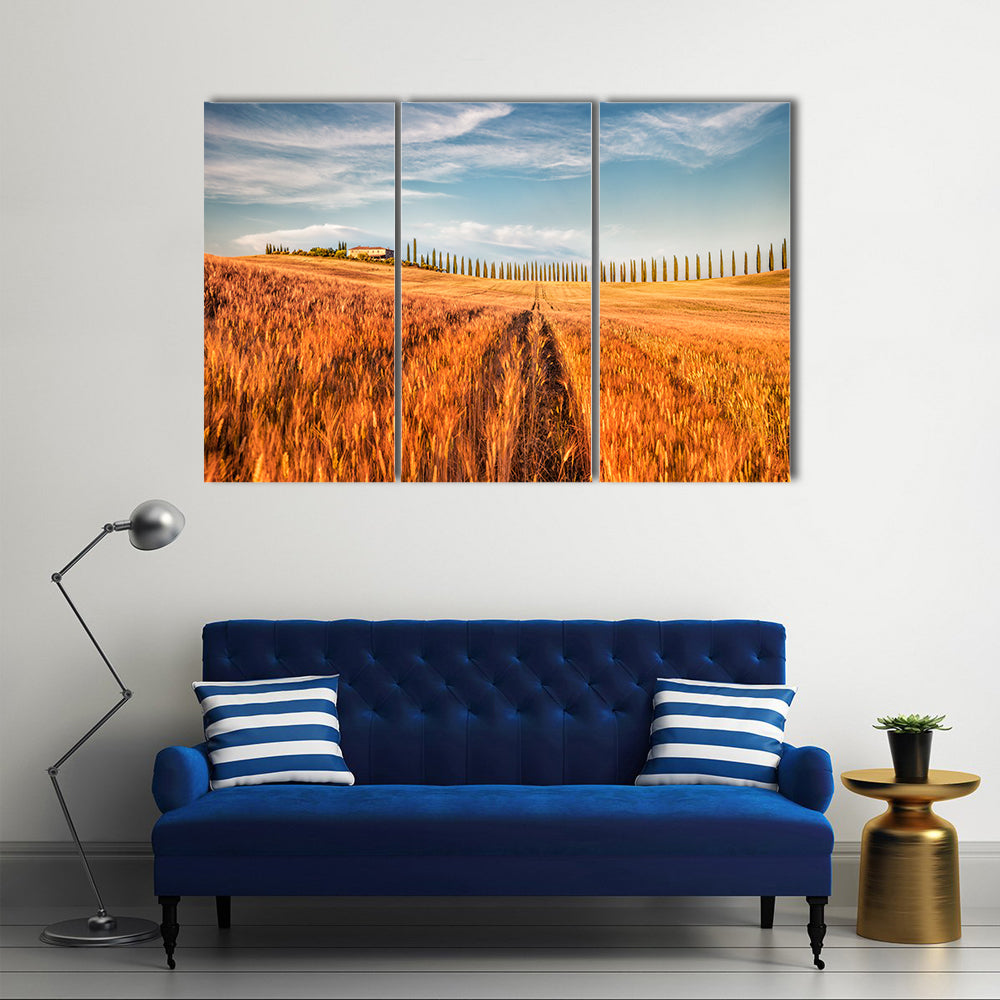 Wheat Field In Tuscany Canvas Wall Art