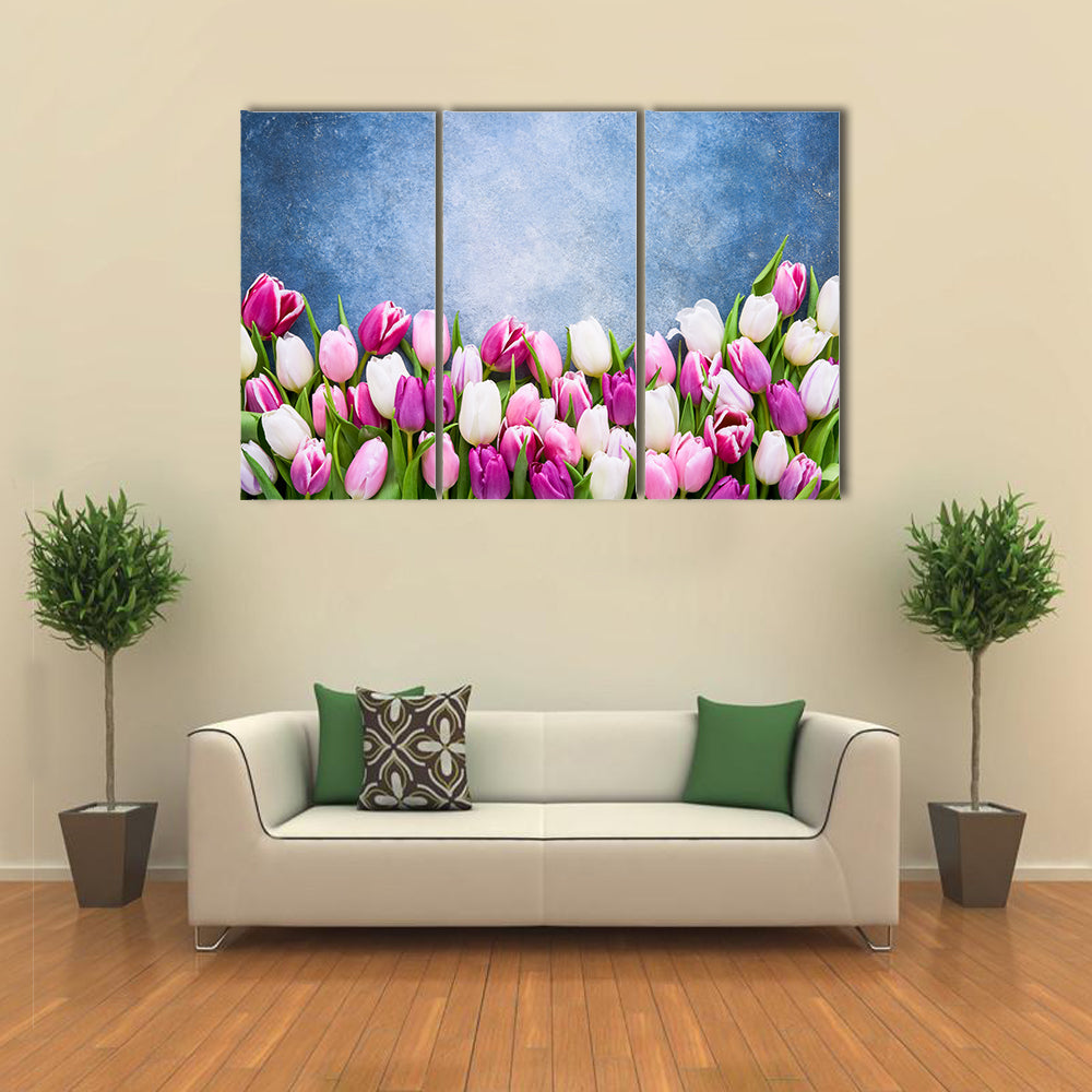 Border Of Pink And White Tulips Canvas Wall Art