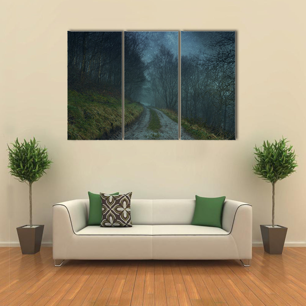 Foggy Forest Path Under Starry Sky Canvas Wall Art
