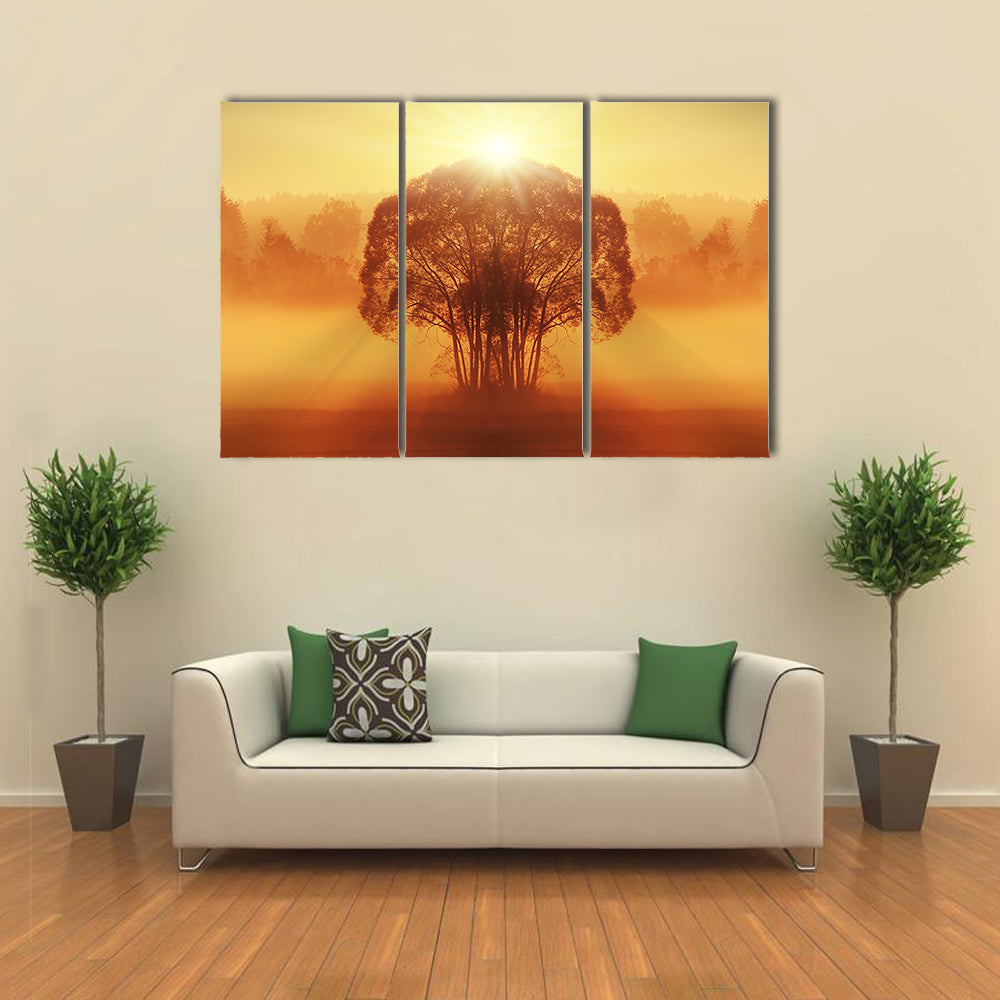 Lone Tree in Golden Morning Mist Canvas Wall Art