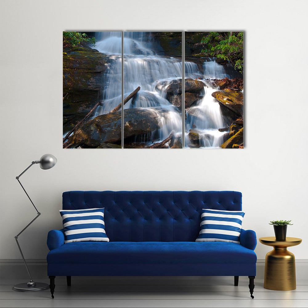 Desoto Falls, Georgia Canvas Wall Art