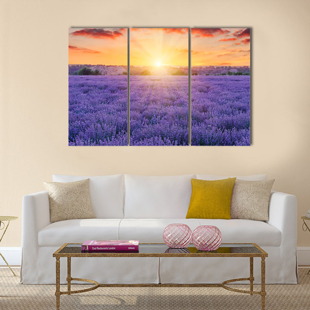 Lavender Fields At Sunset Canvas Wall Art