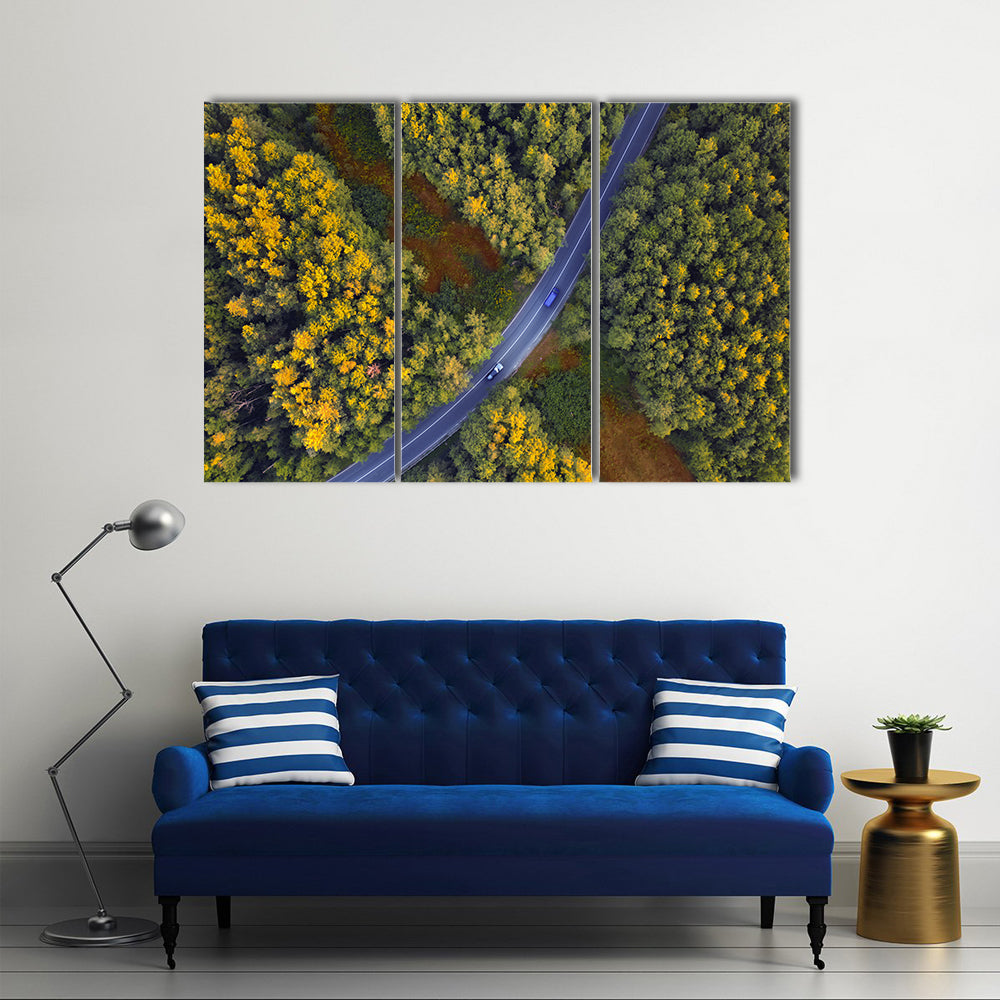 Travel Through Forest Canvas Wall Art