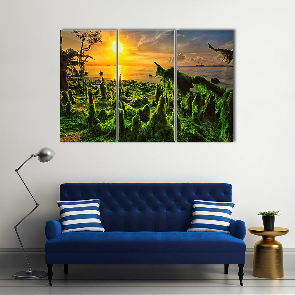 Moss-covered Mangrove Roots at Sunset Canvas Wall Art