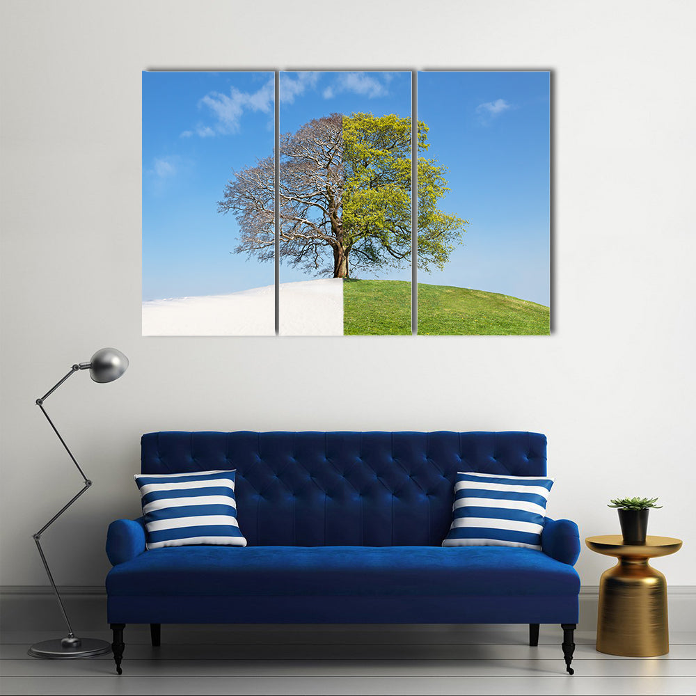 Tree Split Between Winter and Summer Canvas Wall Art in white, green and blue, 3 panel horizontal set hung on a wall