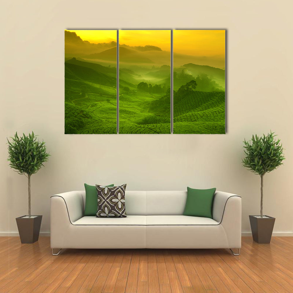 Tea Plantation In Cameron Highland At Sunrise Canvas Wall Art