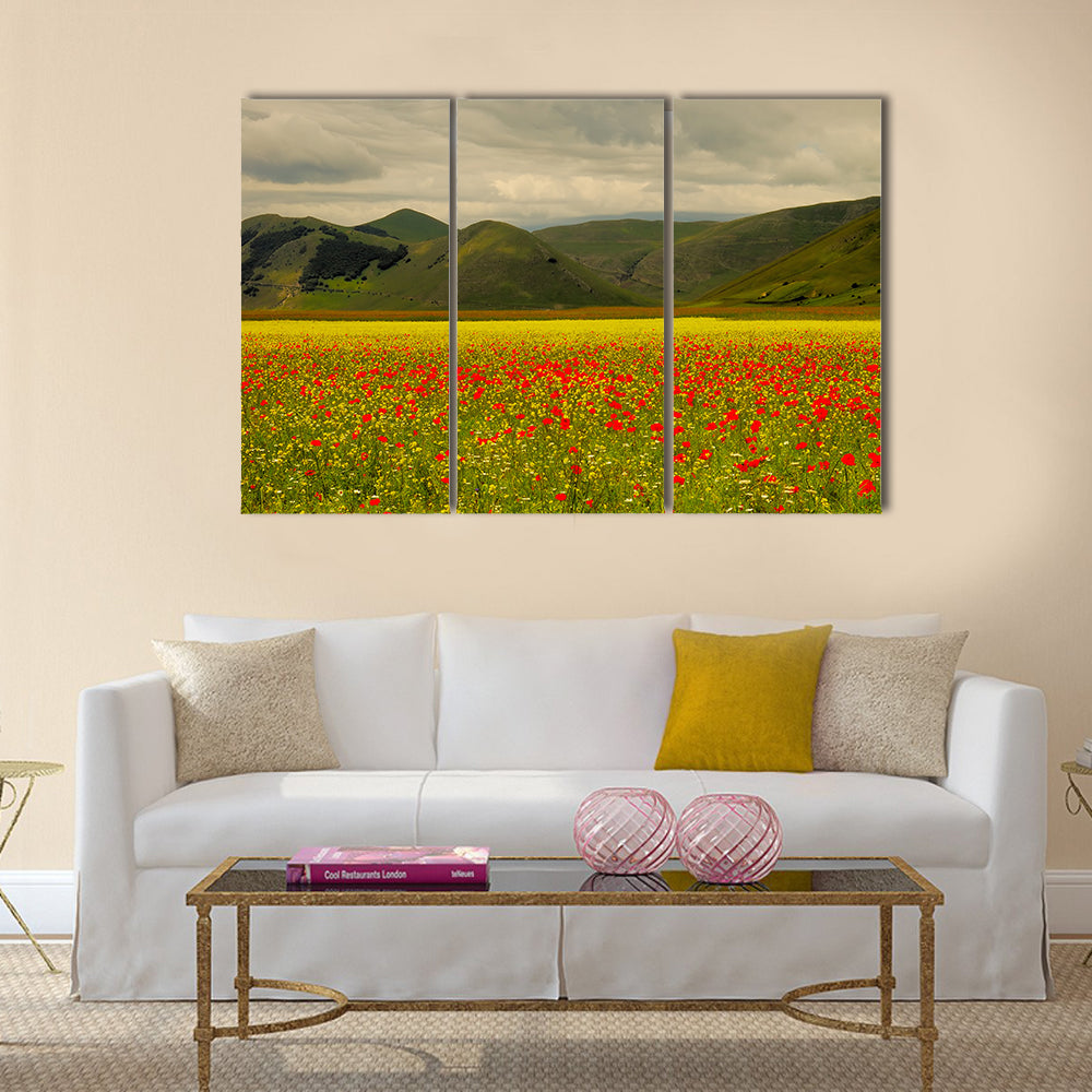 Castelluccio Di Norcia Meadow with Red Poppies Canvas Wall Art