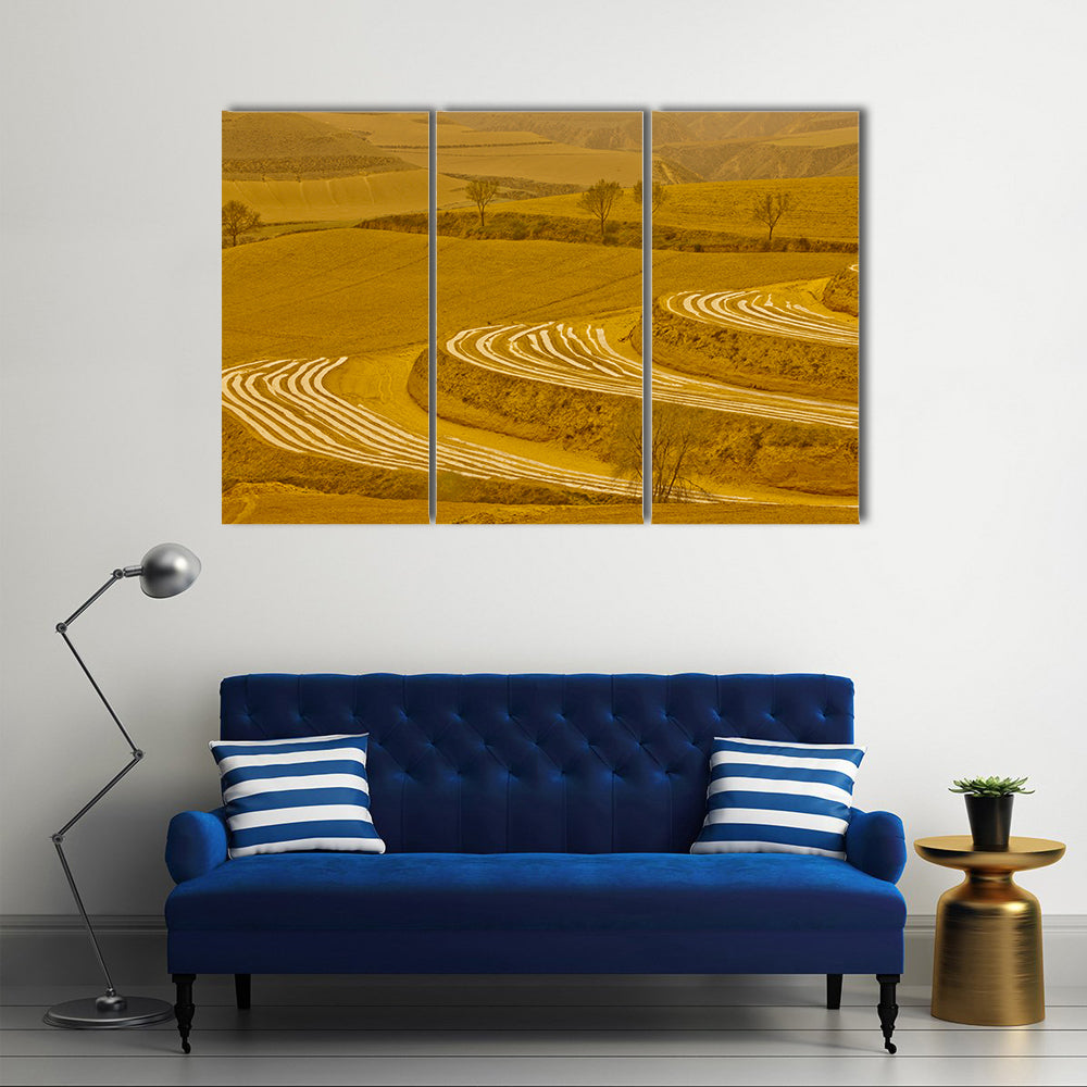 Loess Plateau Terraced Fields Canvas Wall Art in brown, gold and yellow, 3 panel horizontal set hung on a wall