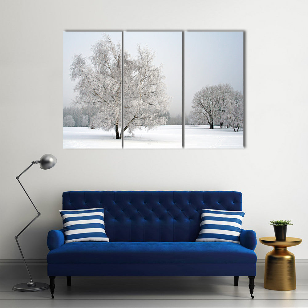 Frosted Trees in Snowy Field Canvas Wall Art