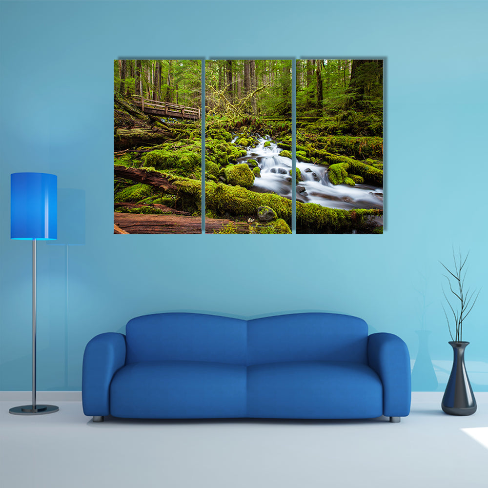 Sol Duc Falls Trail In Olympic National Park Canvas Wall Art