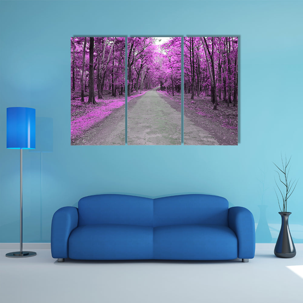 Forest Road In Autumn Canvas Wall Art