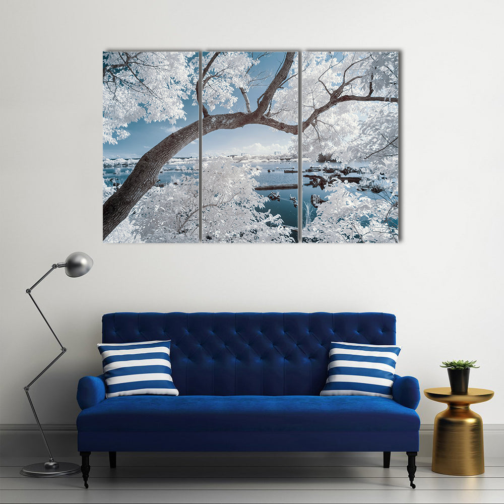 Landscape Of Forest And Pond Canvas Wall Art