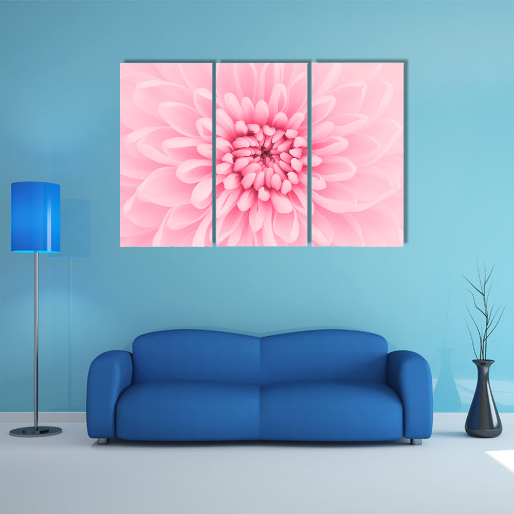 Pink Chrysanthemum Petals Canvas Wall Art