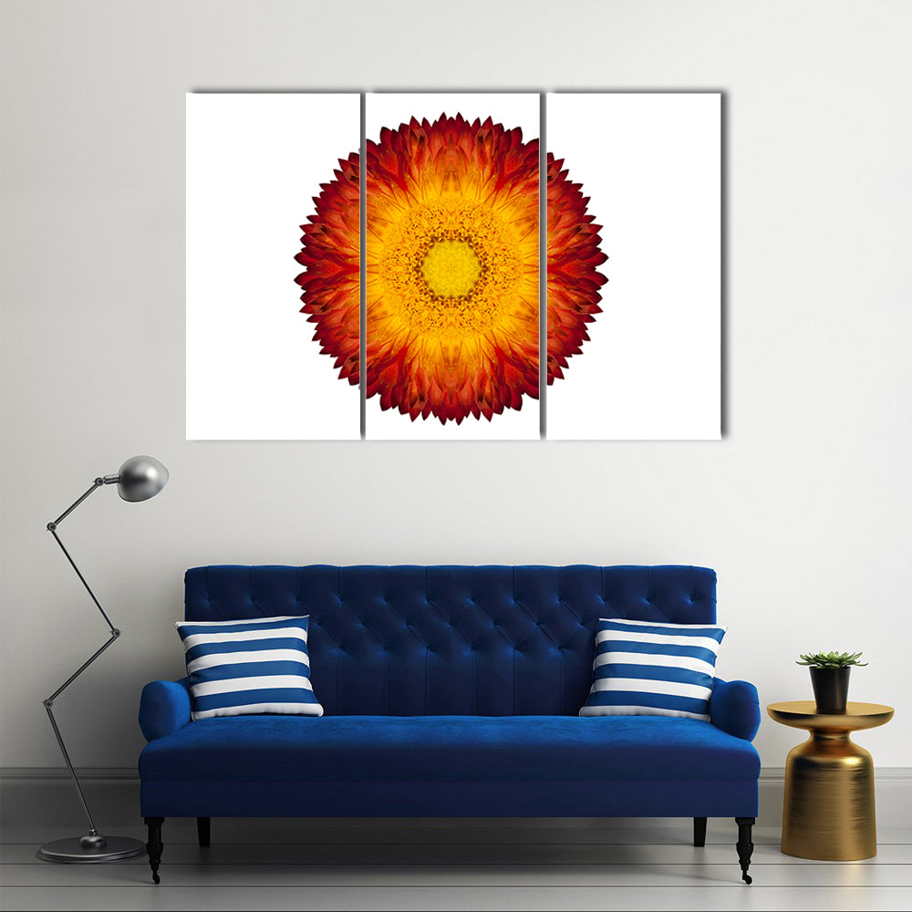 Kaleidoscopic Strawflower Mandala Canvas Wall Art