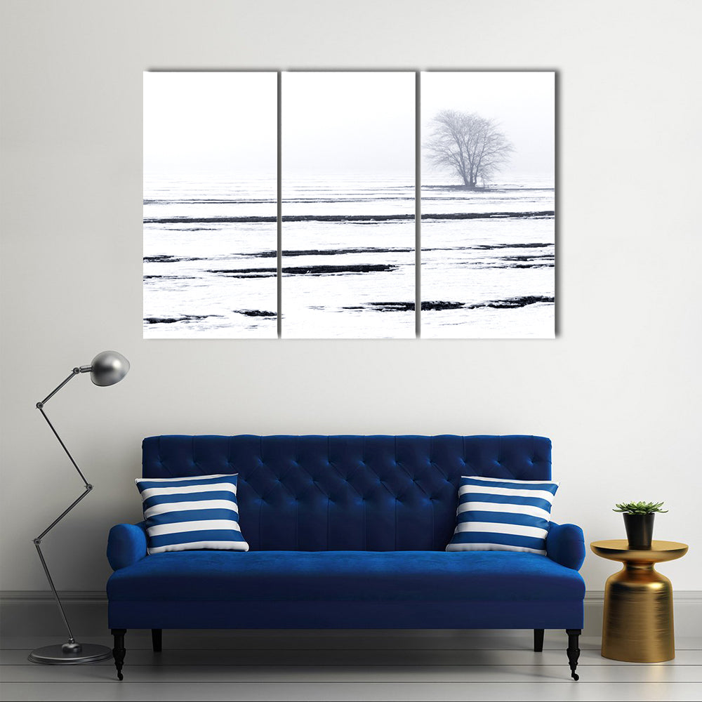 Solitary Tree in Snowy Field Canvas Wall Art