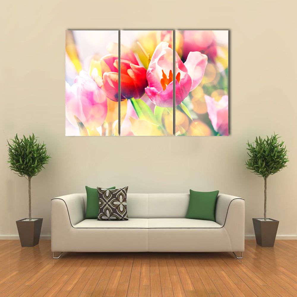Colorful Spring Tulips Canvas Wall Art