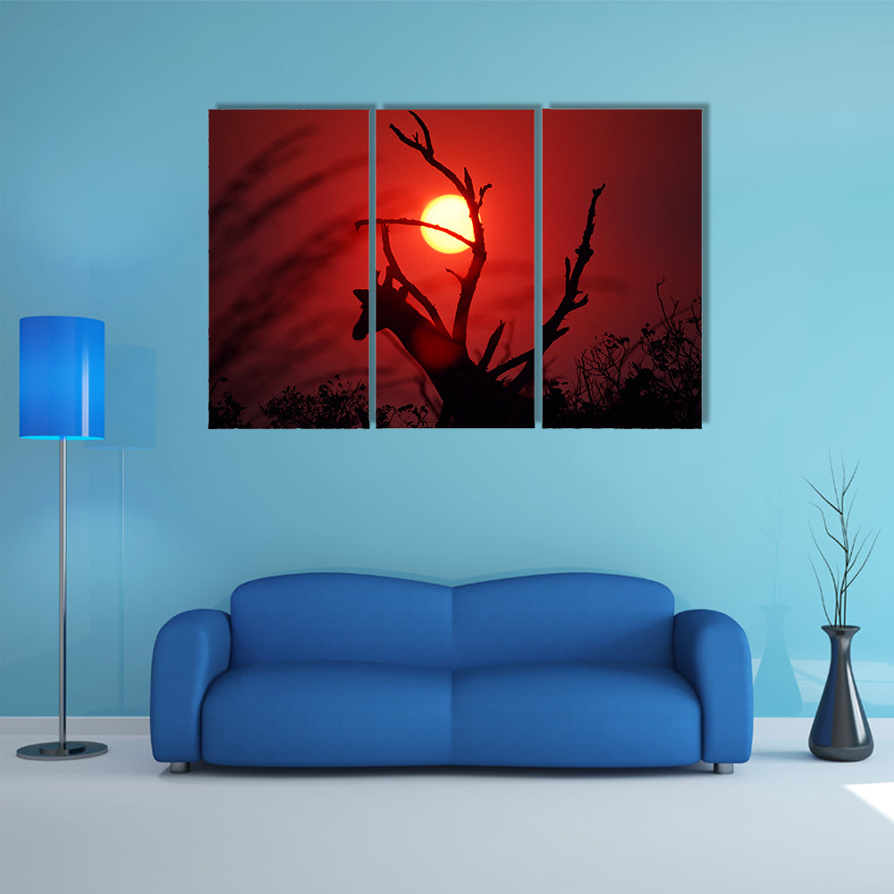 An African Sunset In Mikumi Forest Tanzania Canvas Wall Art
