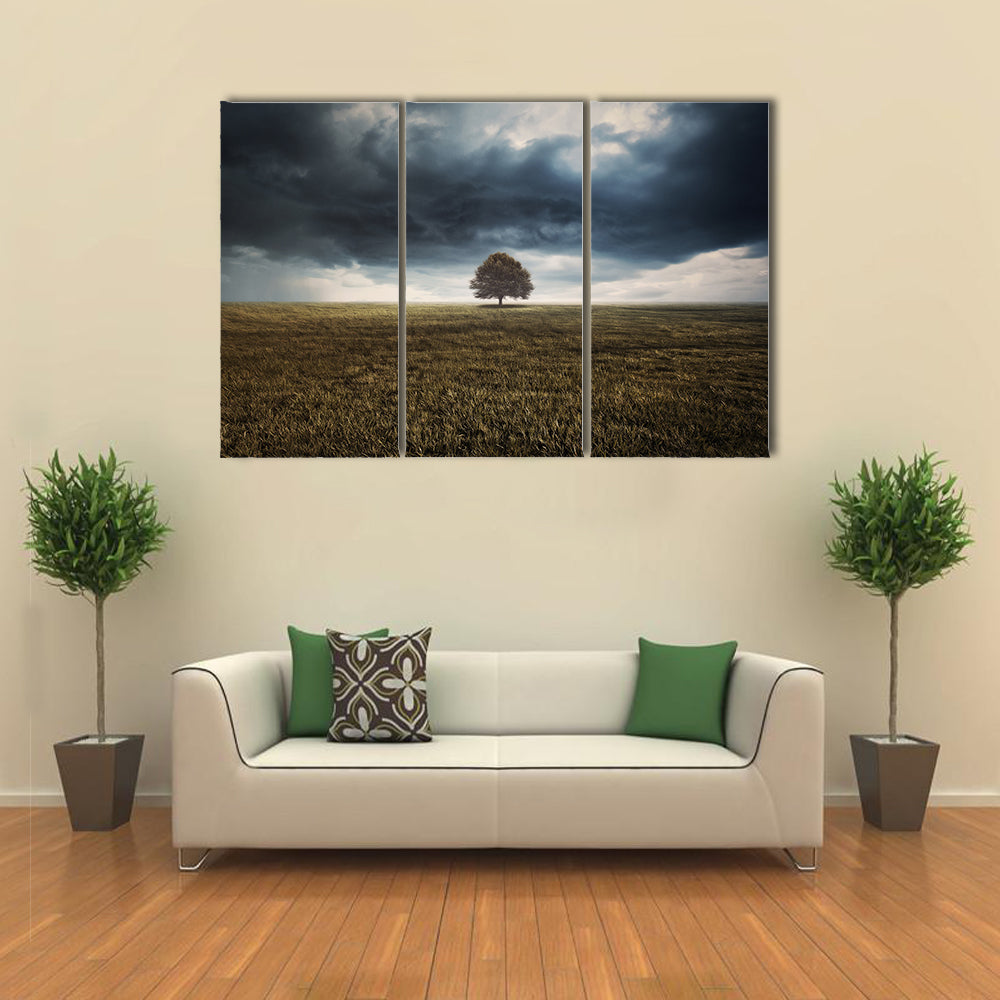 Tree In Field Under Storm Clouds Canvas Wall Art