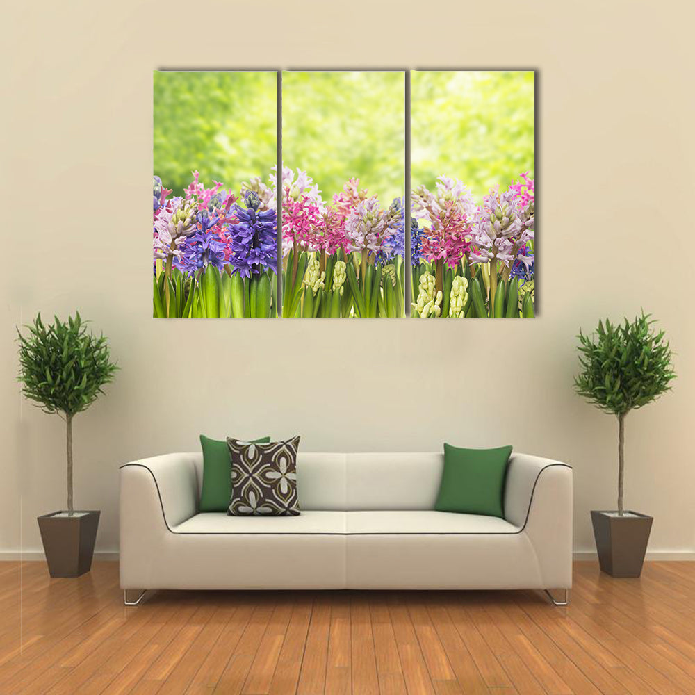 Blooming Spring Hyacinths Flowers Plant In Garden Canvas Wall Art