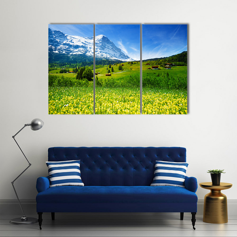Swiss Alpine Wildflower Meadow Canvas Wall Art