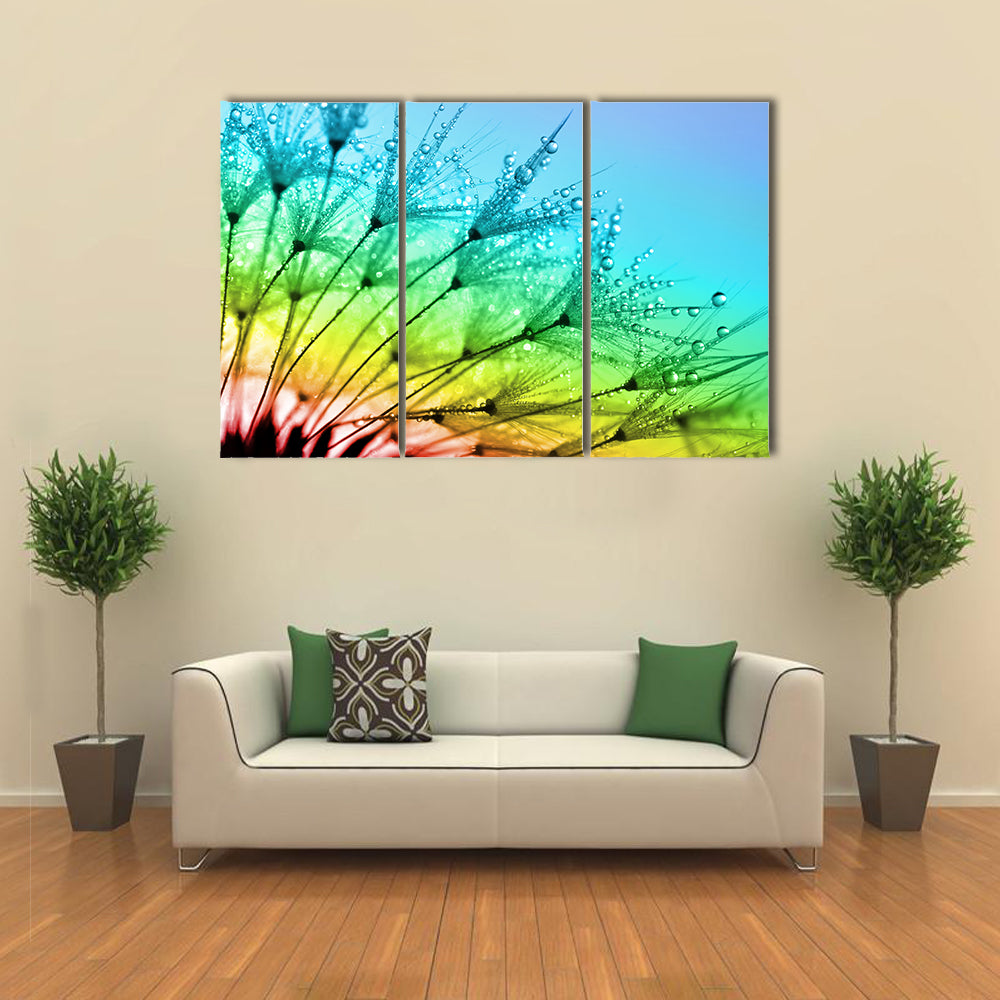 Dewy Dandelion Flower Close Up Canvas Wall Art