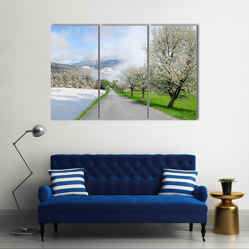 Road Between Winter and Spring Canvas Wall Art in white, gray and green, 3 panel horizontal set hung on a wall