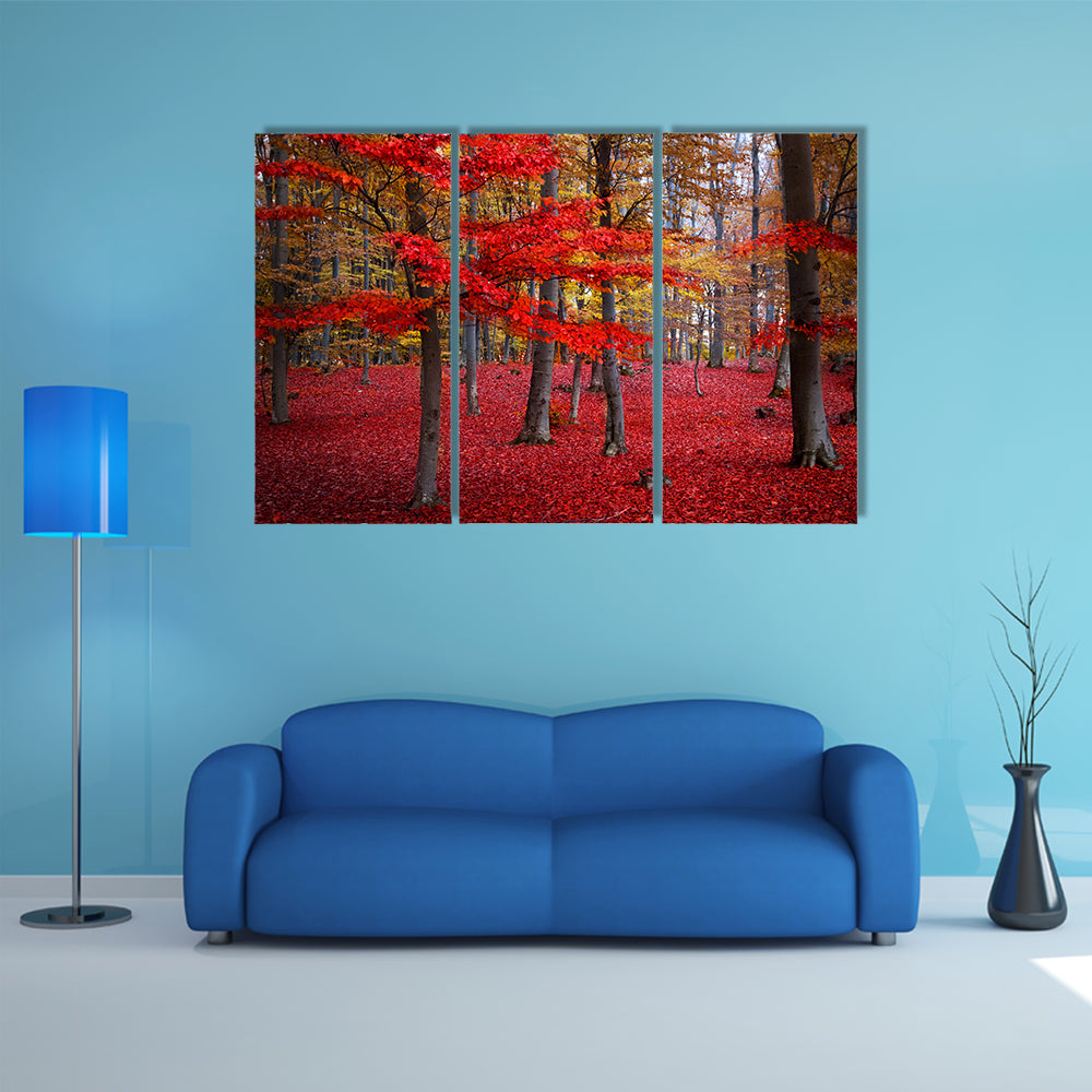 Red Trees In The Forest During Fall Canvas Wall Art