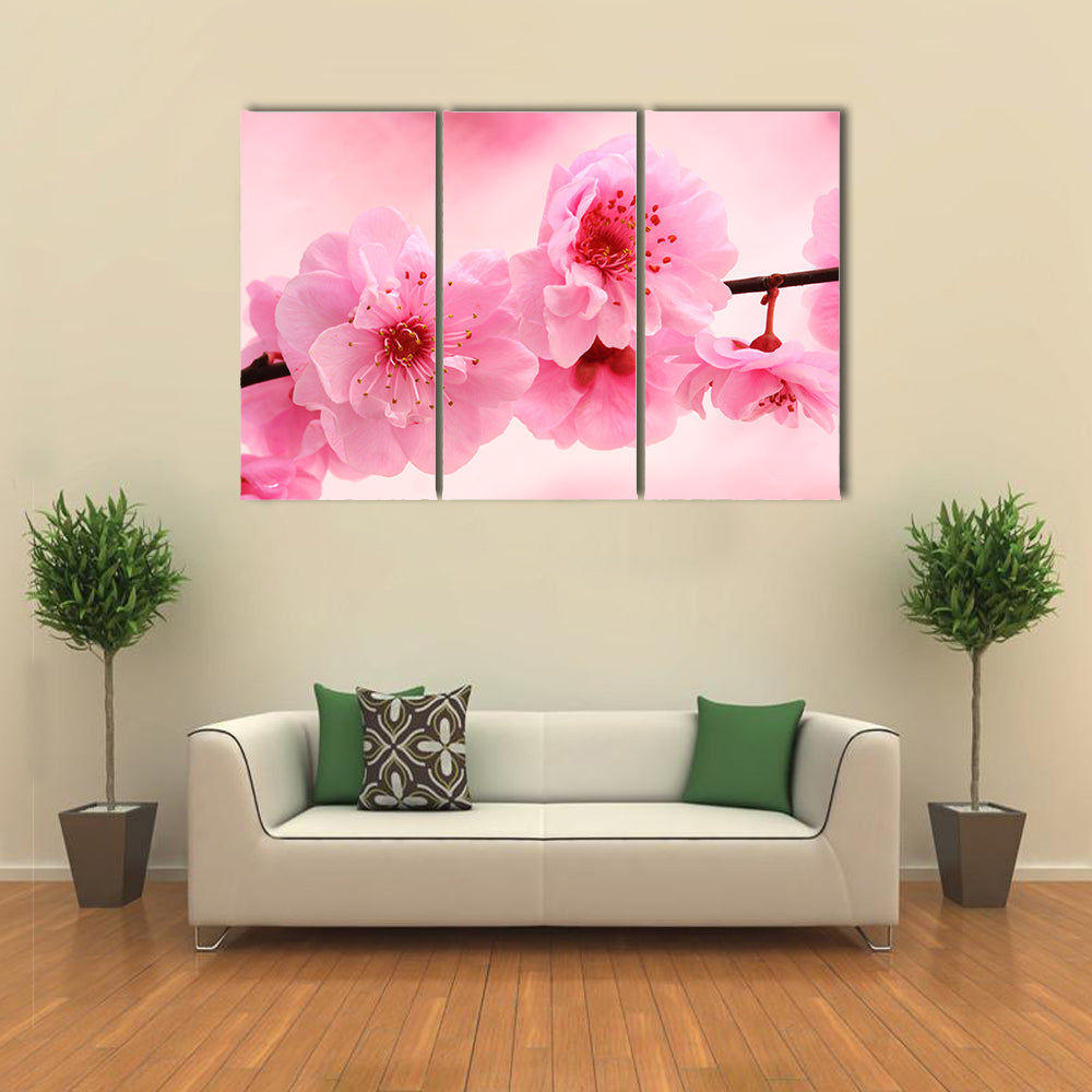 Pink Flowers In Spring Canvas Wall Art