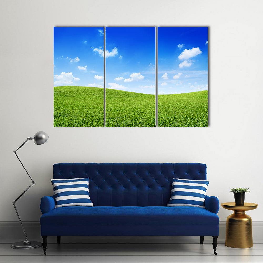 Green Grassy Hills Canvas Wall Art