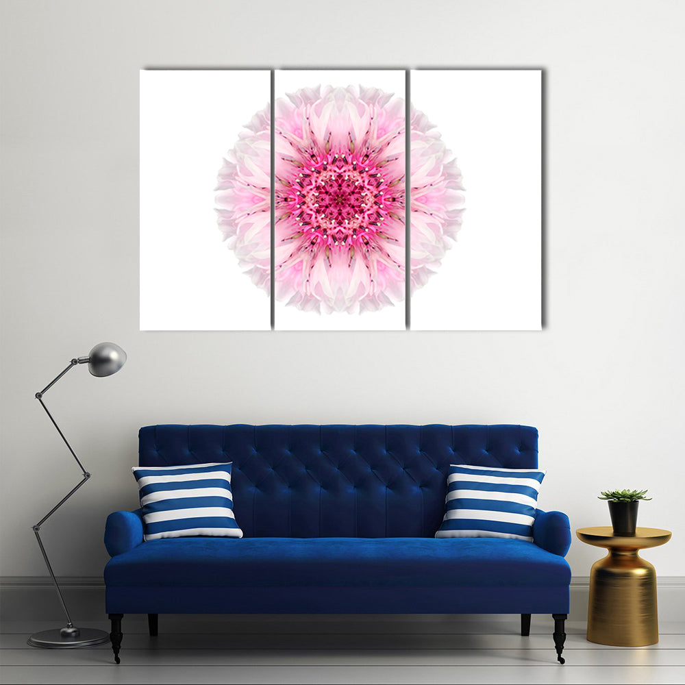 Pink Cornflower Mandala Canvas Wall Art