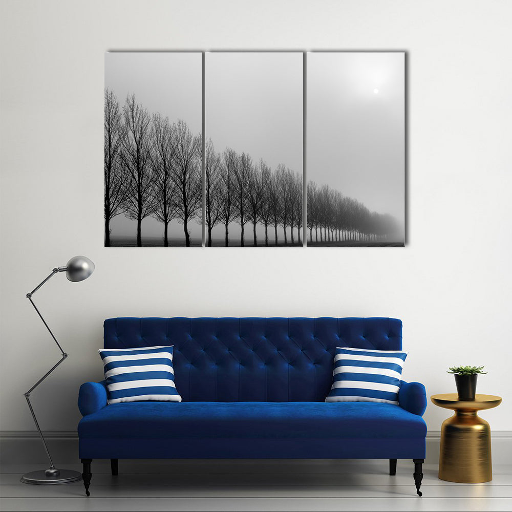 Autumn Trees in Mist Canvas Wall Art in black, white and gray, 3 panel horizontal set hung on a wall