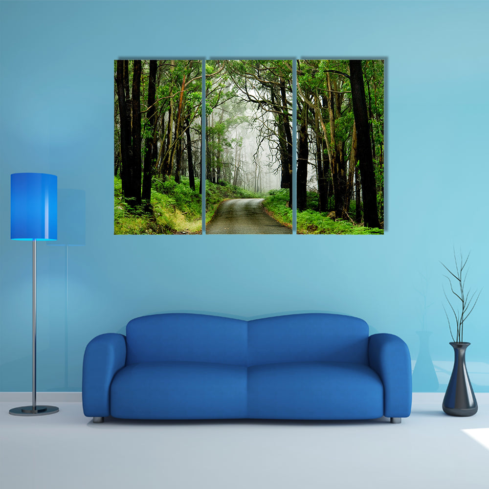 Forest Road With Fog Canvas Wall Art